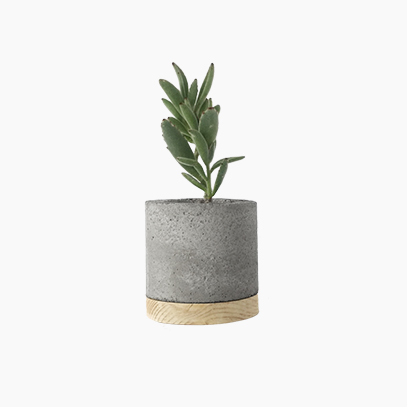 Boske cube